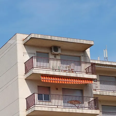 Rnet - Casablanca Roses