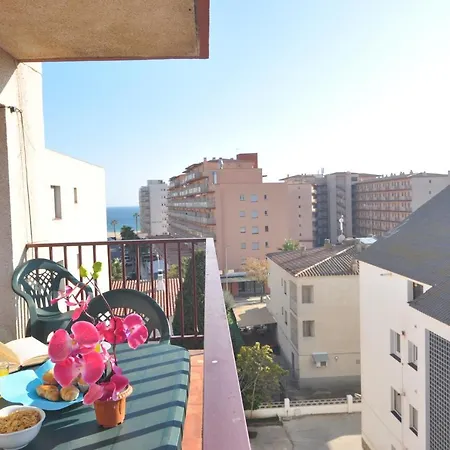 Rnet - Casablanca * Roses