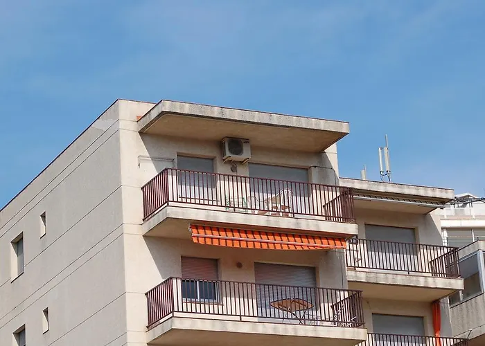 Rnet - Casablanca Roses